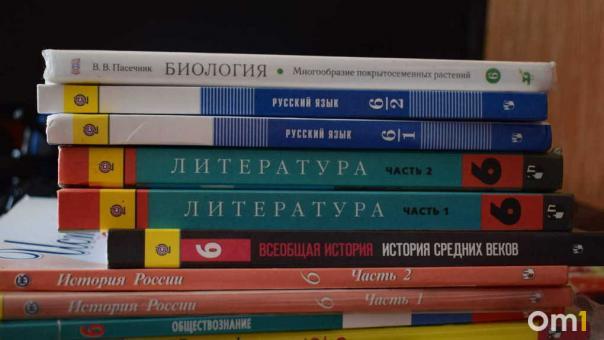 Лидер группы «Руки вверх!» перевёл дочь на домашнее обучение из-за буллинга