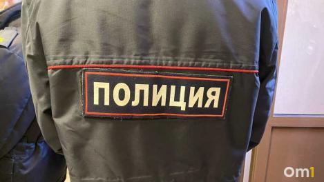 МВД: омичи стали реже убивать, грабить и насиловать