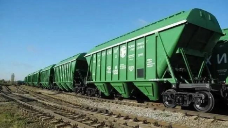 Омская область вошла в тройку лидеров по погрузке зерна