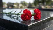 Светлана Маслякова скончалась на 79-м году: за пультом КВН она была более полувека