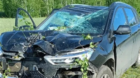 Женщина погибла в аварии на трассе Марьяновка — Шербакуль