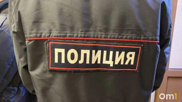 Омич задержал вора, залезшего к нему в гараж в лыжной шапке