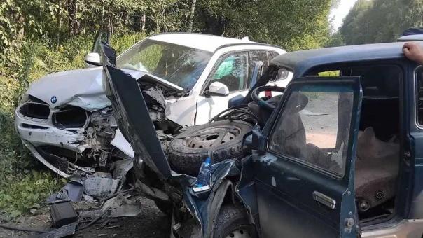 Лобовое столкновение на трассе К-21: в Тогучинском районе Новосибирской области погиб водитель