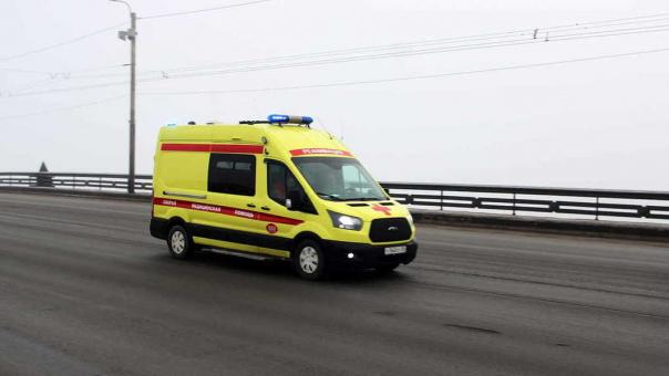 В Новосибирске задержали хозяина собаки, напавшей на фельдшера скорой помощи