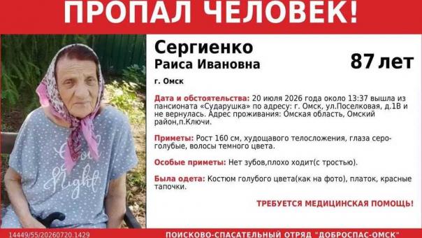 87-летняя омичка вышла на улицу и пропала