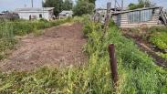 Захватили чужую землю и были наказаны: новосибирцы восстановили соседский участок по решению суда