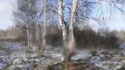 В Омской области осудили охотника за отстрел трёх кабанов