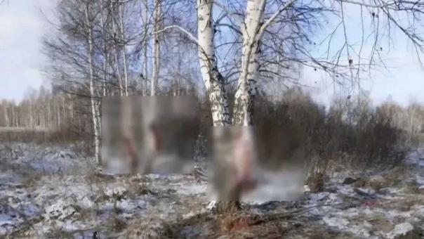 В Омской области осудили охотника за отстрел трёх кабанов