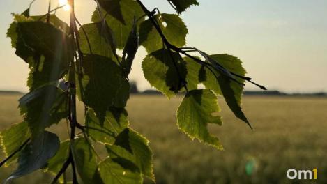 В Омской области многодетным семьям разрешили строить дома на выплату