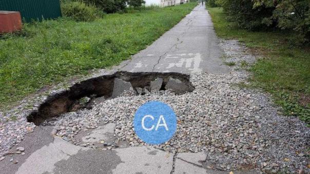 После дождя в новосибирском Академгородке упали деревья и образовался провал