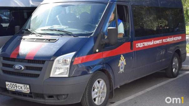 Бастрыкин потребовал доклад о расследовании дела об избиении подростков в Омске