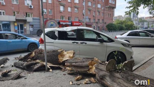 «Я могла оказаться под этим деревом»: в центре Новосибирска дерево обрушилось на авто