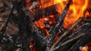В Омской области полыхало 1,5 гектара леса