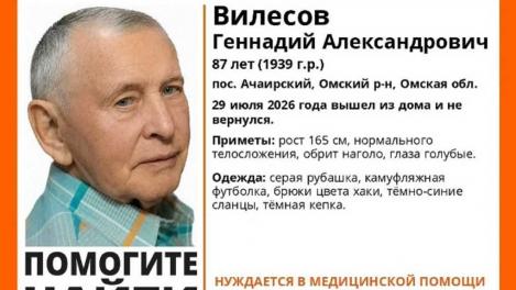 В Омском районе пропал 87-летний пенсионер в камуфляже