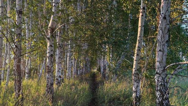 В Новосибирской области усиливают охрану заказников перед сезоном браконьерства