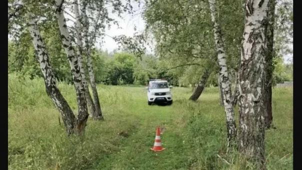Под Омском маленького ребёнка придавило трубой, упавшей с мотоблока