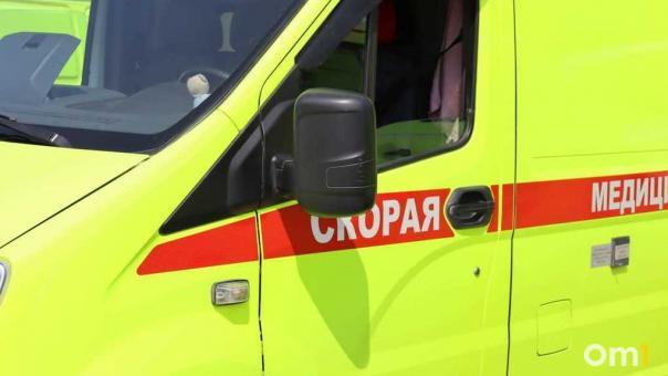 В Омске 10-летняя девочка попала под машину