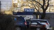 Дешевле сельди и кильки: омичам назвали самую доступную рыбу