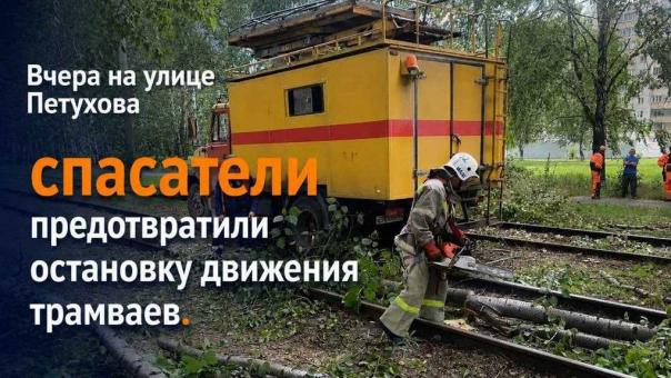 В Новосибирске у «Кировского универмага» ветер повалил деревья на трамвайные пути