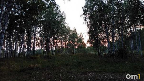 Стало известно, сколько лет грозит охотнику, застрелившему главу района НСО