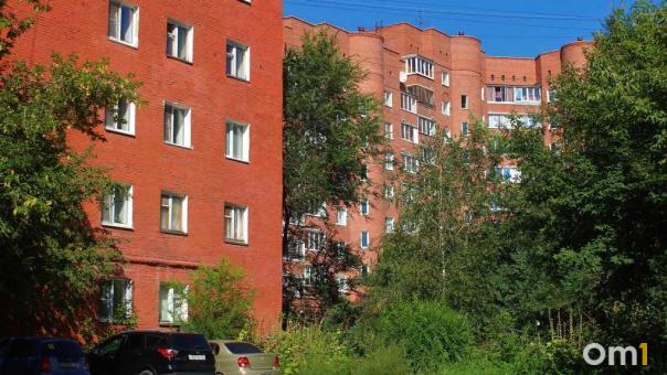 Маленькая летучая мышь второй день пытается попасть в квартиру омички