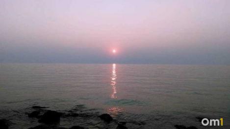 Желеобразные существа заполонили Азовское море