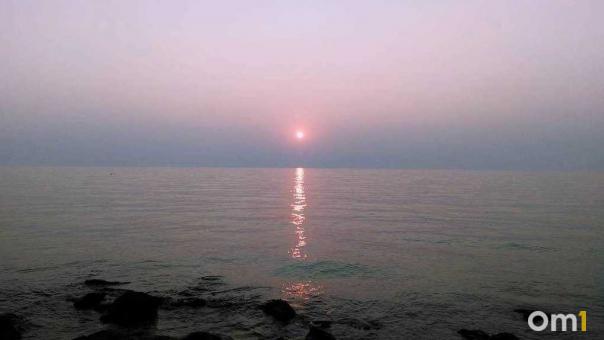 Желеобразные существа заполонили Азовское море