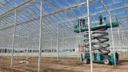 Под Омском строят тепличный комплекс за 10 миллиардов рублей