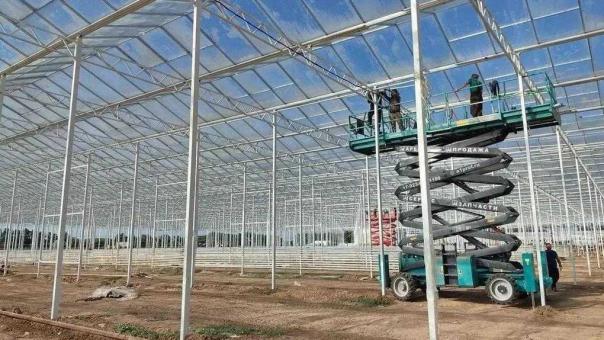 Под Омском строят тепличный комплекс за 10 миллиардов рублей