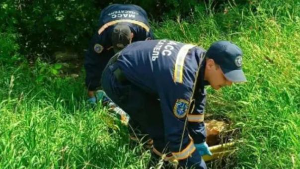 Двух наркоманов с опарышами во рту вытащили из оврага новосибирские спасатели