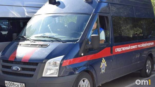 После гибели 12-летней девочки в бассейне под Омском возбудили уголовное дело