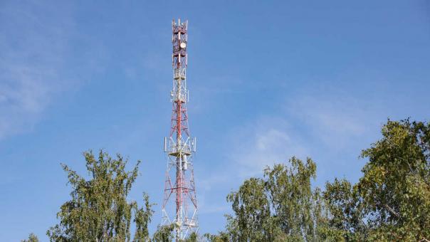 В старинном дендропарке под Омском «МегаФон» усилил связь