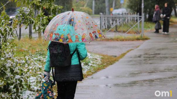 Лето закончится заморозками: в Новосибирской области похолодает до −3 градусов