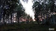 «Нас расстреляли»: один человек погиб во время охоты под Новосибирском