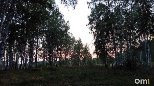 «Нас расстреляли»: один человек погиб во время охоты под Новосибирском