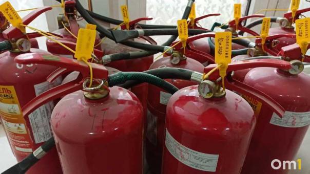 В Омской области за неделю произошло 58 пожаров, погибли два человека