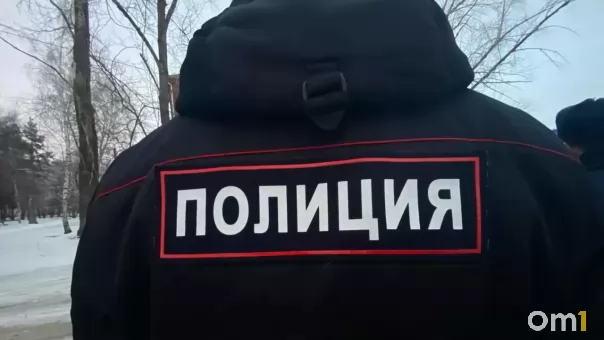 5,3 млн рублей похитили мошенники с помощью двух подростков в Омске