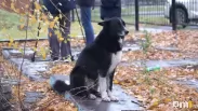 Холодная осень отступит: омичам обещают резкое потепление в сентябре