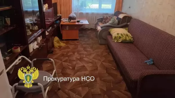 Внук зарезал 98-летнюю бабушку в Новосибирской области — что произошло в ту ночь