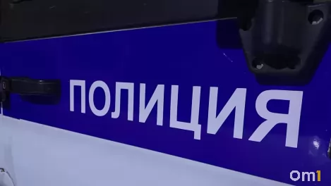 Мальтипу лишил омичку десятков тысяч рублей