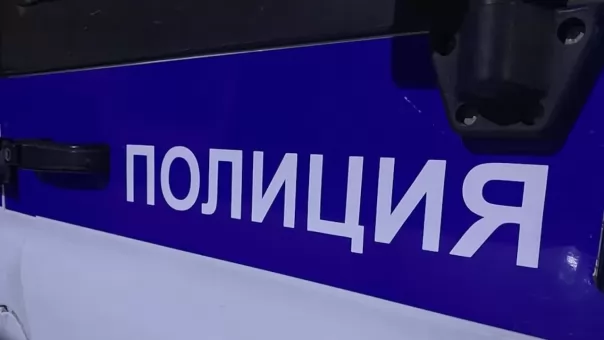 В Омске полиция ищет женщину, выкопавшую гортензию в городском сквере