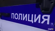 В Омске полиция ищет женщину, выкопавшую гортензию в городском сквере