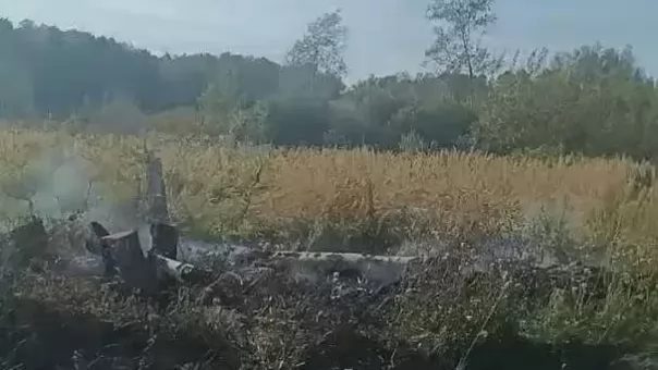 Пожарная авиация потушила горящий лес под Омском