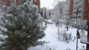 Оттепели, мокрый снег и гололёд: какой будет зима в Омске