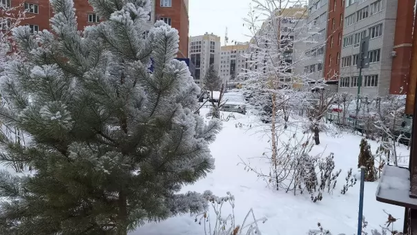 Оттепели, мокрый снег и гололёд: какой будет зима в Омске