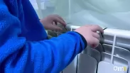Когда включат отопление в школах и детсадах Омска: власти назвали срок