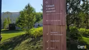 Омичка сама пришла в полицию после истории с гортензией из сквера «Сердце Омска»