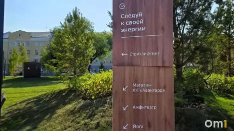Омичка, укравшая гортензию из «Сердца Омска», сама пришла в полицию и рассказала, почему