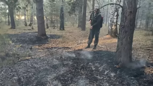 Лесной пожар в Омской области: охотники предотвратили беду у Старокарасука