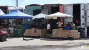 Иностранцев в России заставят платить за всех